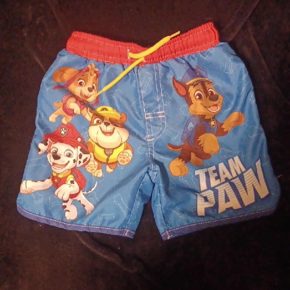 Paw Patrol Swim Trunks 2T